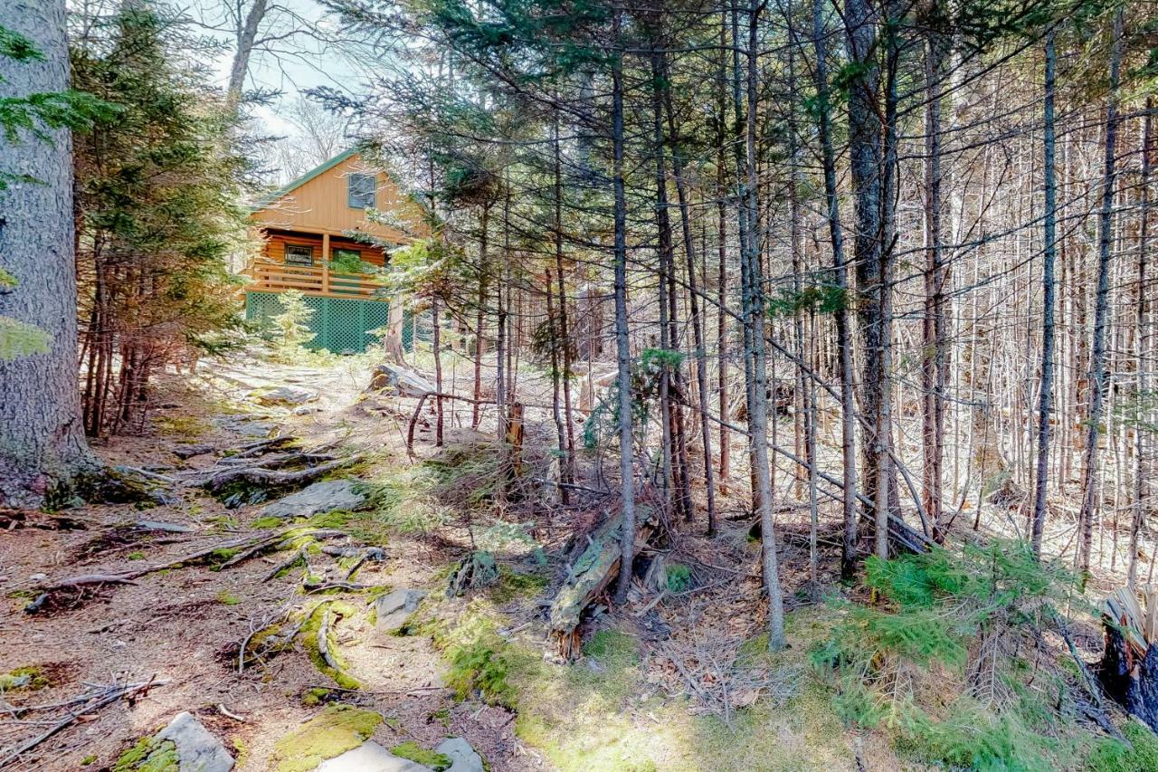 Loon Landing Lodge Greenville Esterno foto